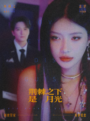 鸳鸯相抱何时了（66集）解说