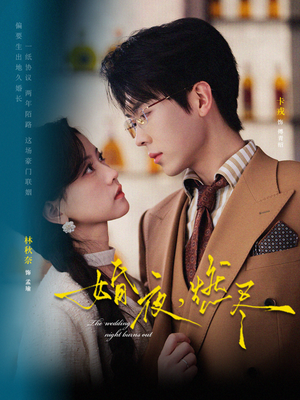 婚夜，燃尽（72集）不用花钱看全剧