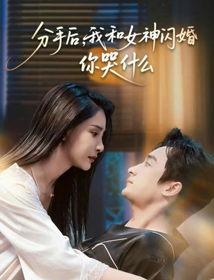 悲欢离合总无情（80集）夸克在线观看