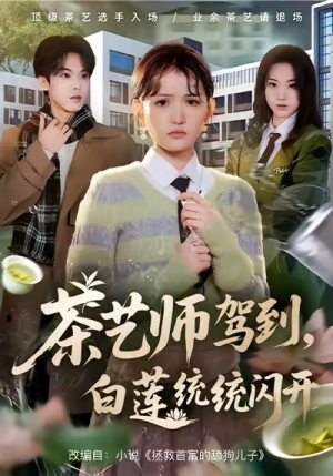 茶艺师驾到白莲统统闪开（65集）看到了大结局