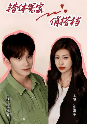 错体冤家俏搭档（60集）直接看到大结局