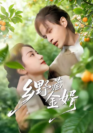 乡野藏金婿（50集）免费看