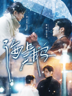 海上天鹅（70集）小短剧抢先看