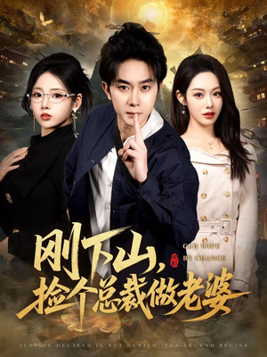 刚下山捡个总裁做老婆（80集）好看吗