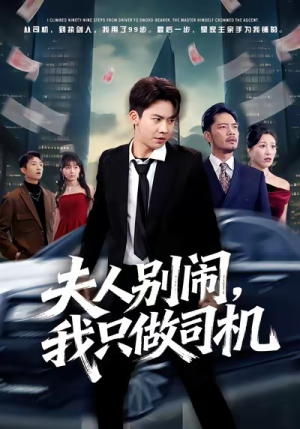 夫人别闹我只做司机（80集）最新上映免费看