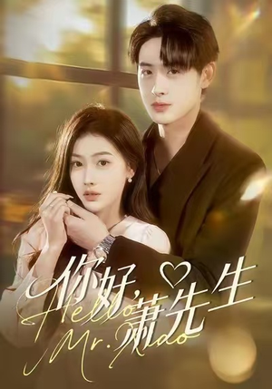 你好，萧先生（98集）看短剧放松一下