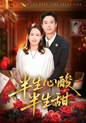 半生心酸半生甜（70集）分享好看短剧