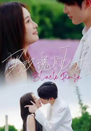 黑玫瑰的反击（47集）短剧在线观看