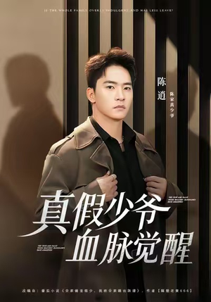 真假少爷血脉觉醒（63集）全集免费