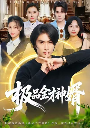 极品全才神婿（67集）精彩短剧看全集
