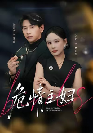 危情主妇（60集）剧好看短剧推荐