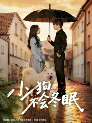 小狗不会冬眠（70集）剧情简介