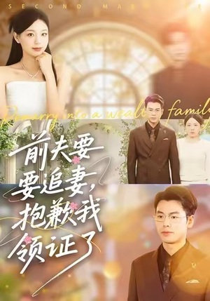 前夫要追妻，抱歉我领证了（81集）免费短剧大全