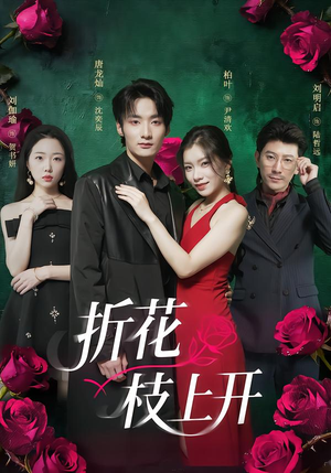 折花枝上开（51集）番茄免费短剧