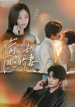 偷“心”劫匪是娇妻（61集）夸克在线观看