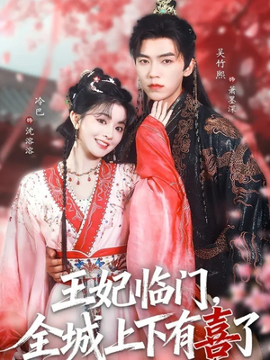 王妃临门全城上下有喜了（66集）百度网盘在线看