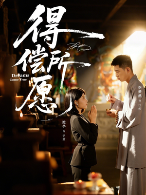 得偿所愿（65集）精彩的网络短剧