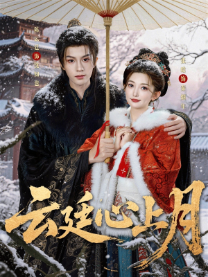 云廷心上月（80集）免费短剧看不停