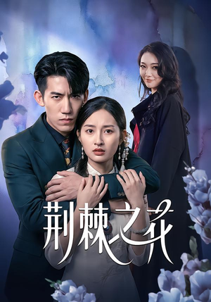 荆棘之花(100集) 荆棘之花(100集)好看的短剧