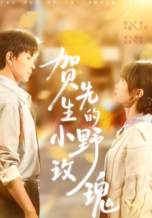 贺先生的小野玫瑰（99集）悬疑短剧推荐