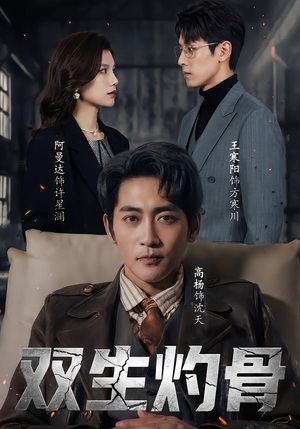 双生灼骨（60集）每日短剧推荐