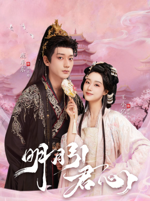 明月引君心（74集）番茄短剧看全集