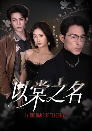 以棠之名(66集) 以棠之名(66集)大结局一气呵成